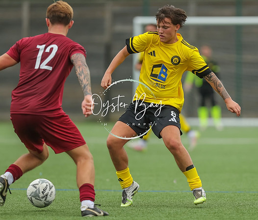 ADL_AshfordWan_Merstham_310