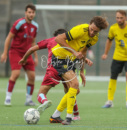 ADL_AshfordWan_Merstham_289