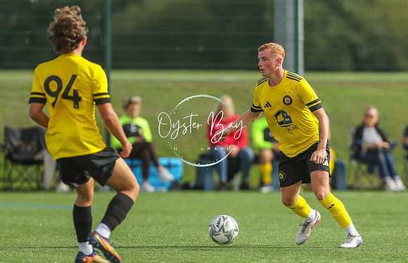 ADL_AshfordWan_Merstham_082