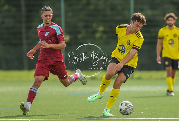 ADL_AshfordWan_Merstham_090