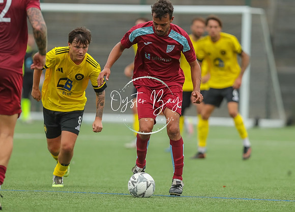 ADL_AshfordWan_Merstham_308