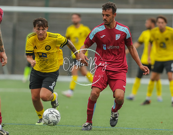 ADL_AshfordWan_Merstham_309
