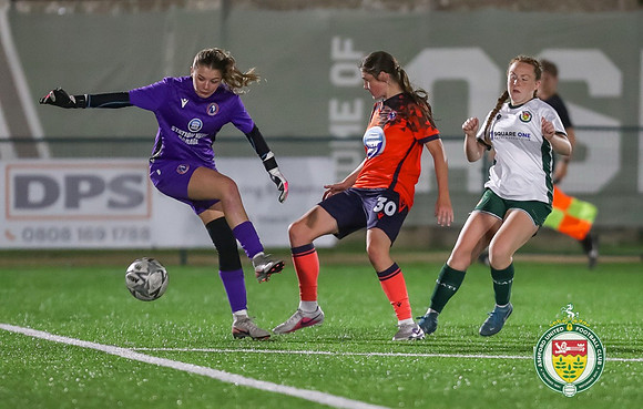 AshfordLadies_v_DorkingLadies_355