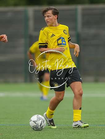 ADL_AshfordWan_Merstham_363