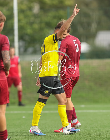 ADL_AshfordWan_Merstham_121