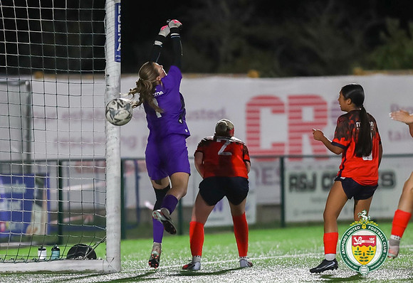 AshfordLadies_v_DorkingLadies_239