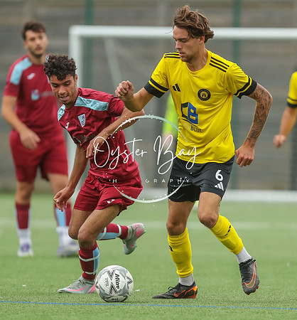 ADL_AshfordWan_Merstham_290