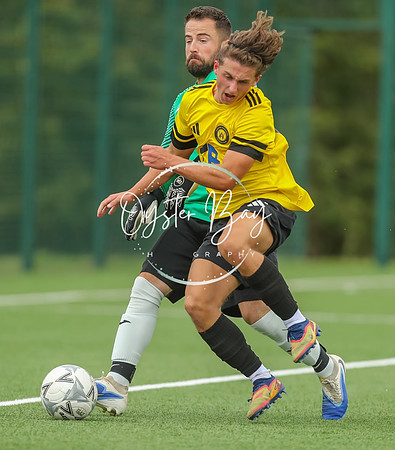 ADL_AshfordWan_Merstham_259
