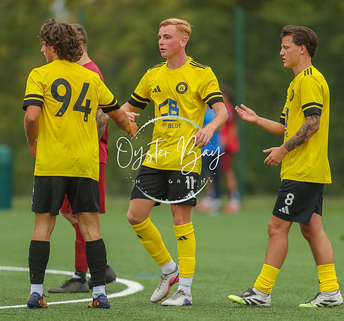 ADL_AshfordWan_Merstham_260
