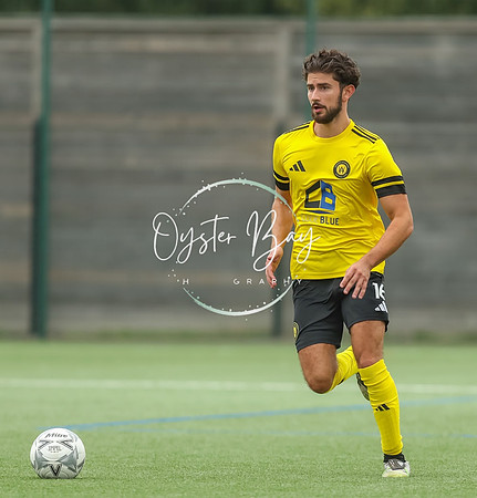 ADL_AshfordWan_Merstham_279