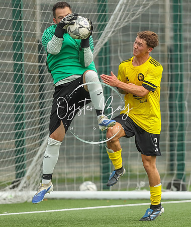 ADL_AshfordWan_Merstham_202