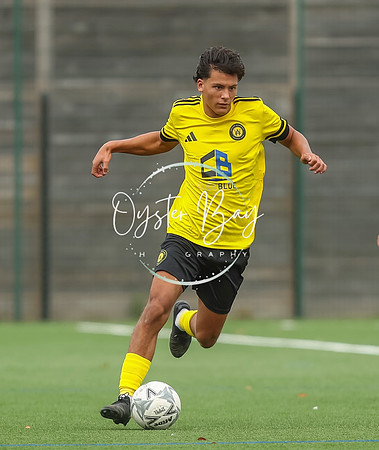 ADL_AshfordWan_Merstham_214