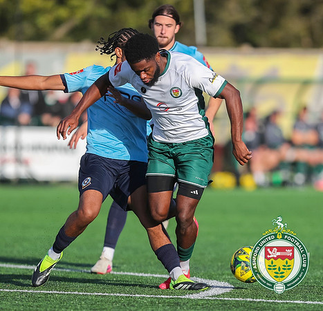 ISE_Ashford_2-2_Horley_290