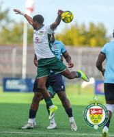 ISE_Ashford_2-2_Horley_123