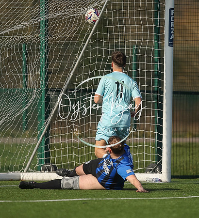 StanhopeRes_2-11_FortunaSwans_056