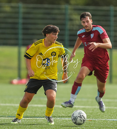 ADL_AshfordWan_Merstham_080