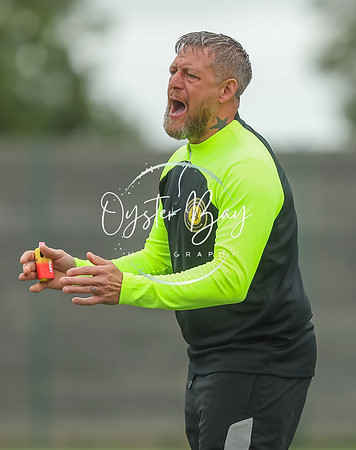 ADL_AshfordWan_Merstham_270