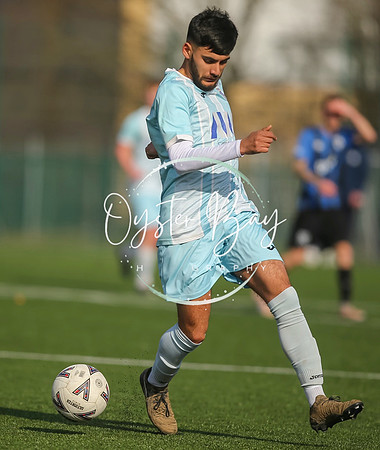 StanhopeRes_2-11_FortunaSwans_122