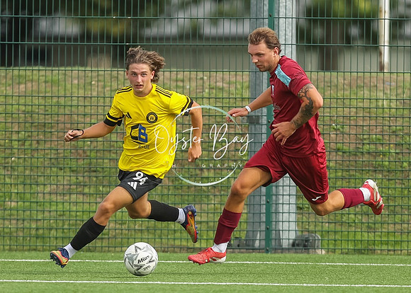 ADL_AshfordWan_Merstham_130