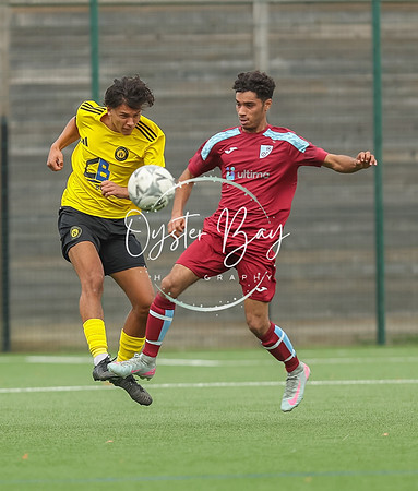 ADL_AshfordWan_Merstham_211