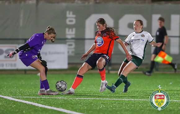 AshfordLadies_v_DorkingLadies_354