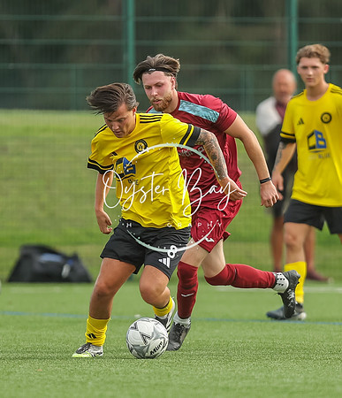 ADL_AshfordWan_Merstham_146