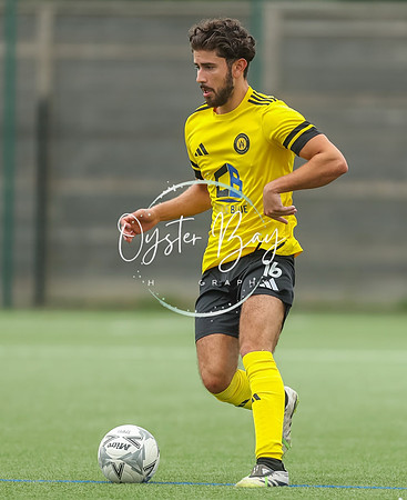 ADL_AshfordWan_Merstham_280
