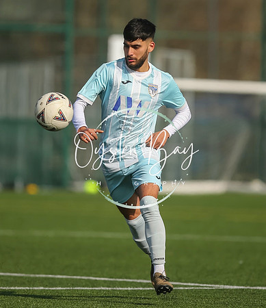 StanhopeRes_2-11_FortunaSwans_138