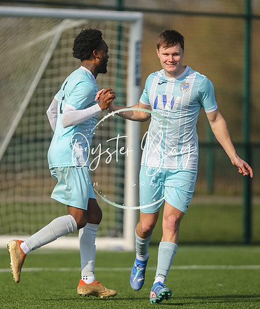StanhopeRes_2-11_FortunaSwans_075