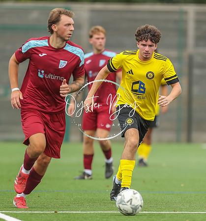 ADL_AshfordWan_Merstham_209
