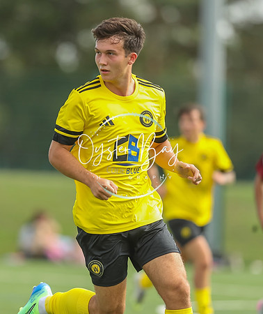 ADL_AshfordWan_Merstham_140
