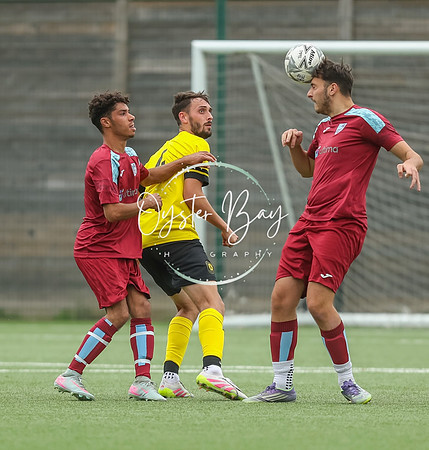 ADL_AshfordWan_Merstham_278