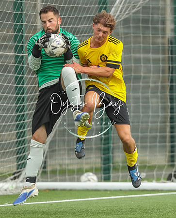 ADL_AshfordWan_Merstham_203