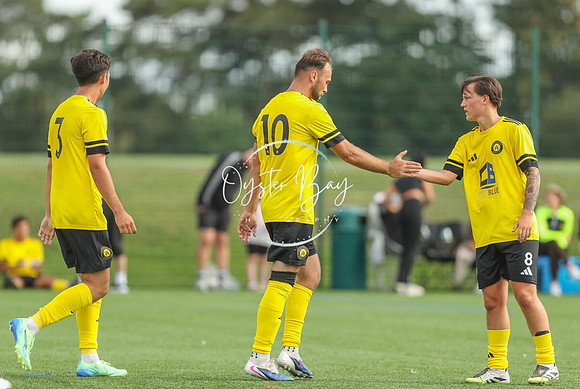 ADL_AshfordWan_Merstham_127