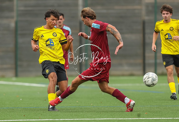 ADL_AshfordWan_Merstham_215