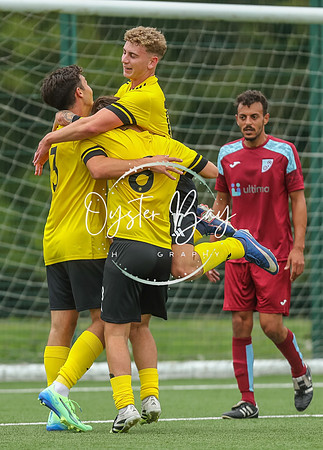 ADL_AshfordWan_Merstham_347