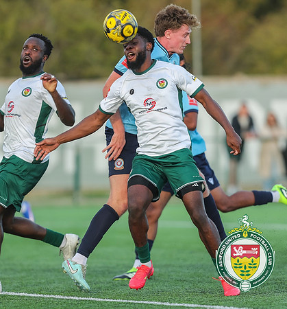 ISE_Ashford_2-2_Horley_336