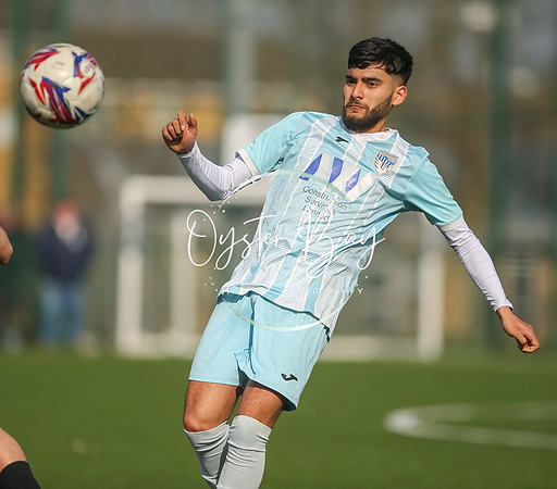 StanhopeRes_2-11_FortunaSwans_178