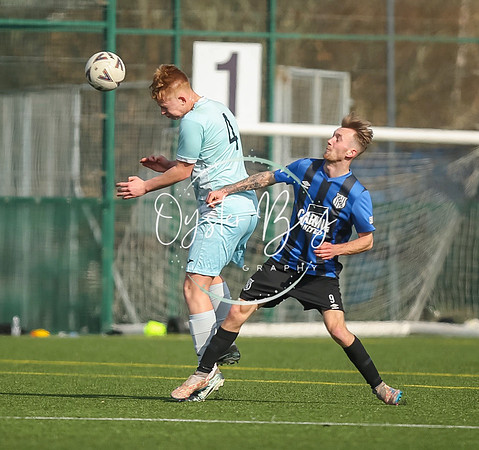 StanhopeRes_2-11_FortunaSwans_143