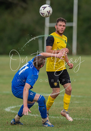 Dynamo_2-0_AsfhfordW_160