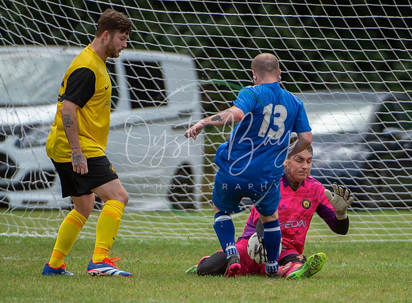 Dynamo_2-0_AsfhfordW_217