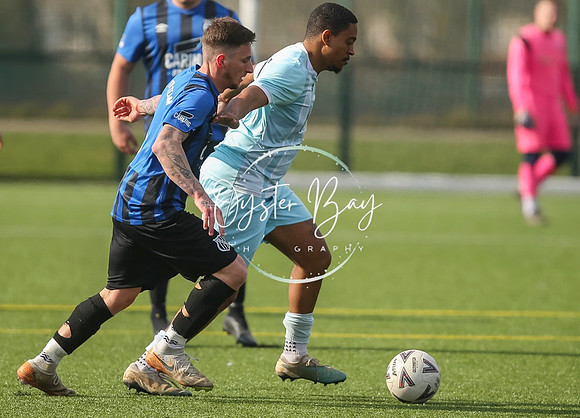 StanhopeRes_2-11_FortunaSwans_361