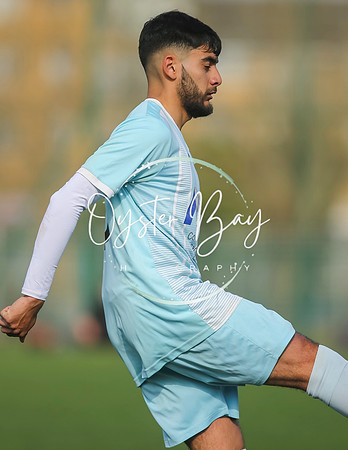 StanhopeRes_2-11_FortunaSwans_255