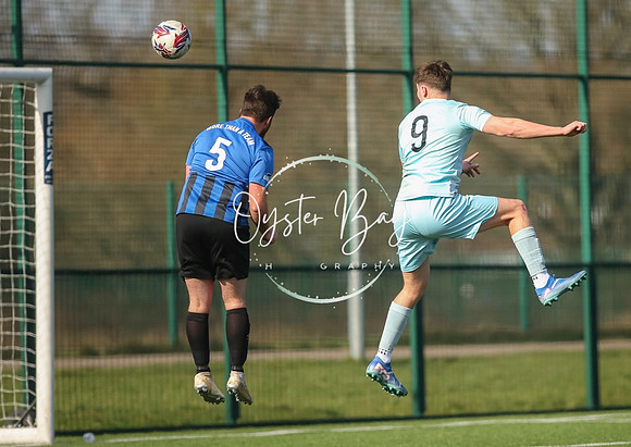 StanhopeRes_2-11_FortunaSwans_189