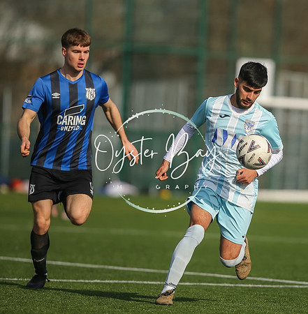 StanhopeRes_2-11_FortunaSwans_140