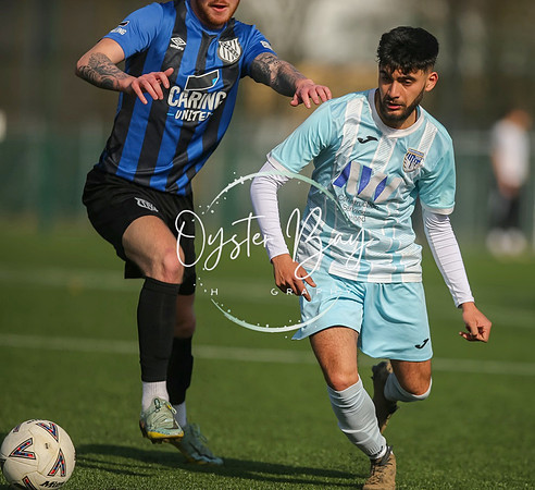 StanhopeRes_2-11_FortunaSwans_124