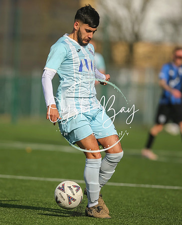StanhopeRes_2-11_FortunaSwans_121