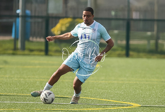 StanhopeRes_2-11_FortunaSwans_382