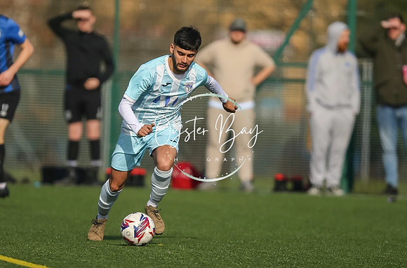 StanhopeRes_2-11_FortunaSwans_047