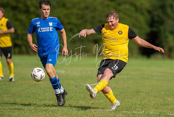Dynamo_2-0_AsfhfordW_118